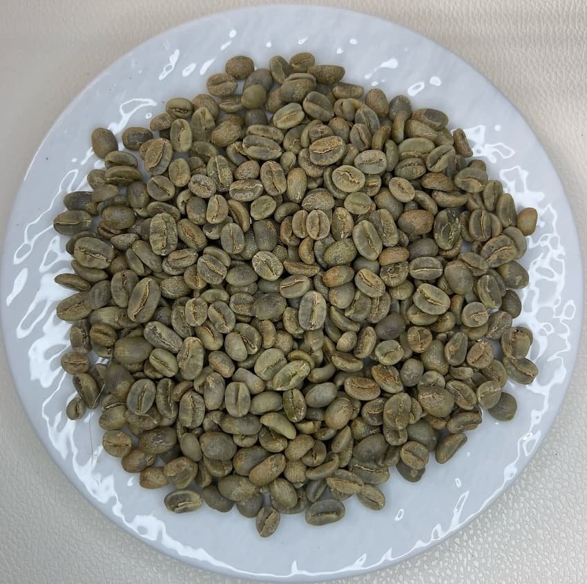 Colombia_CGLE_Las_Margaritas_Farm_Excelso.jpg
