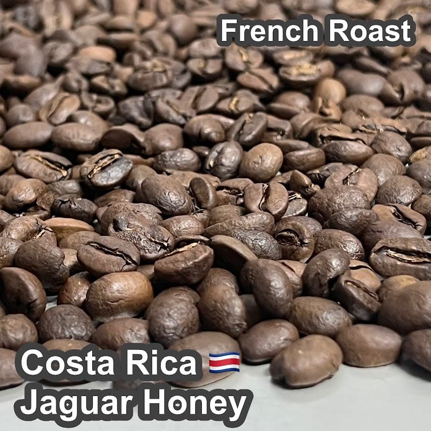 Costa_Rica_Jaguar_Honey850.jpg