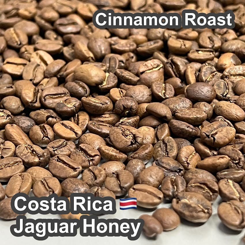 Costa_Rica_Jaguar_Honey850_1_1.jpg
