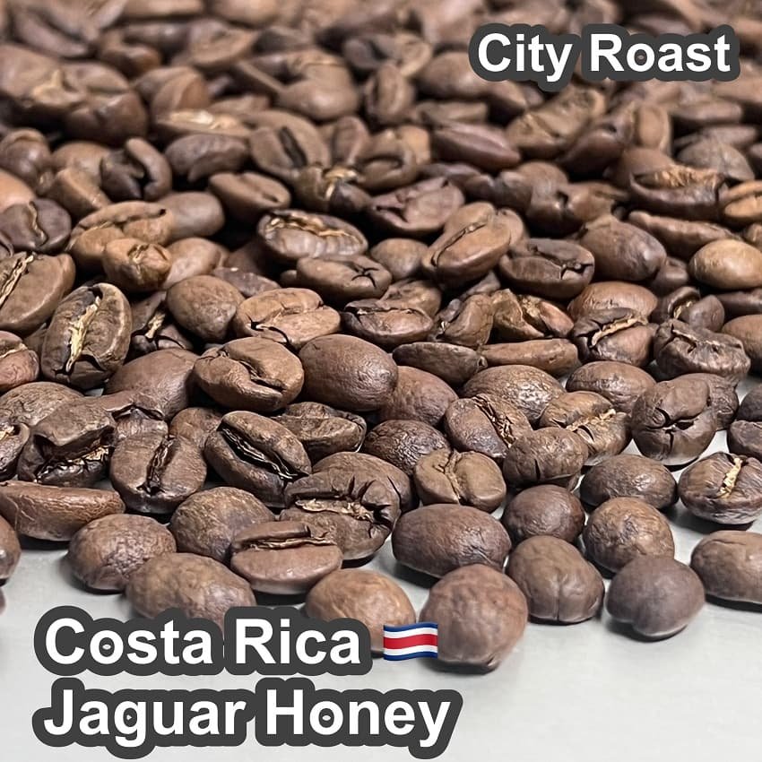 Costa_Rica_Jaguar_Honey_1.jpg