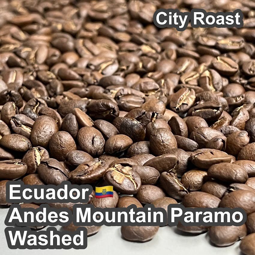 Ecuador_Andes_Mountain_Paramo_Washed850.jpg