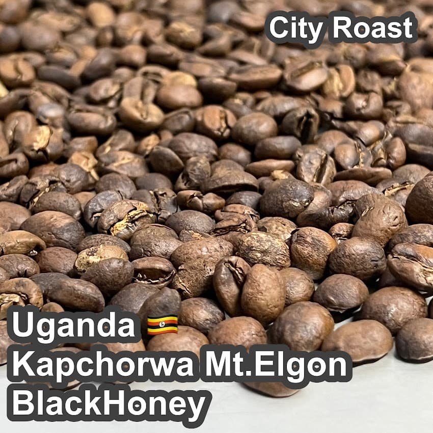 Uganda_Kapchorwa_Mt850.Elgon_BlackHoney.jpg